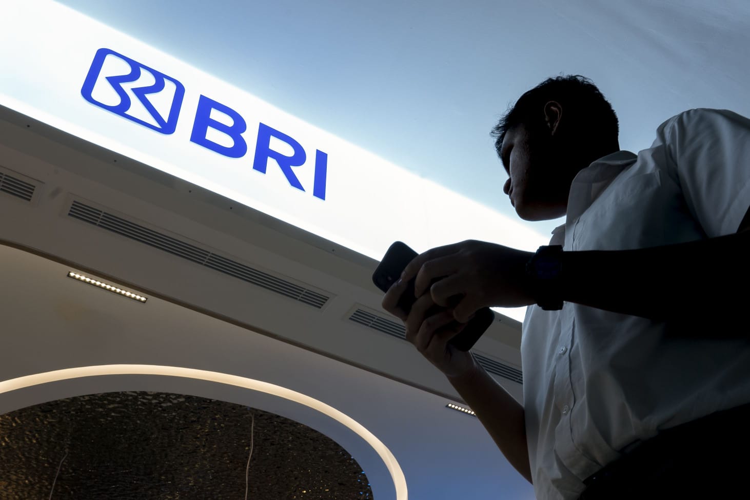 BRI-MI