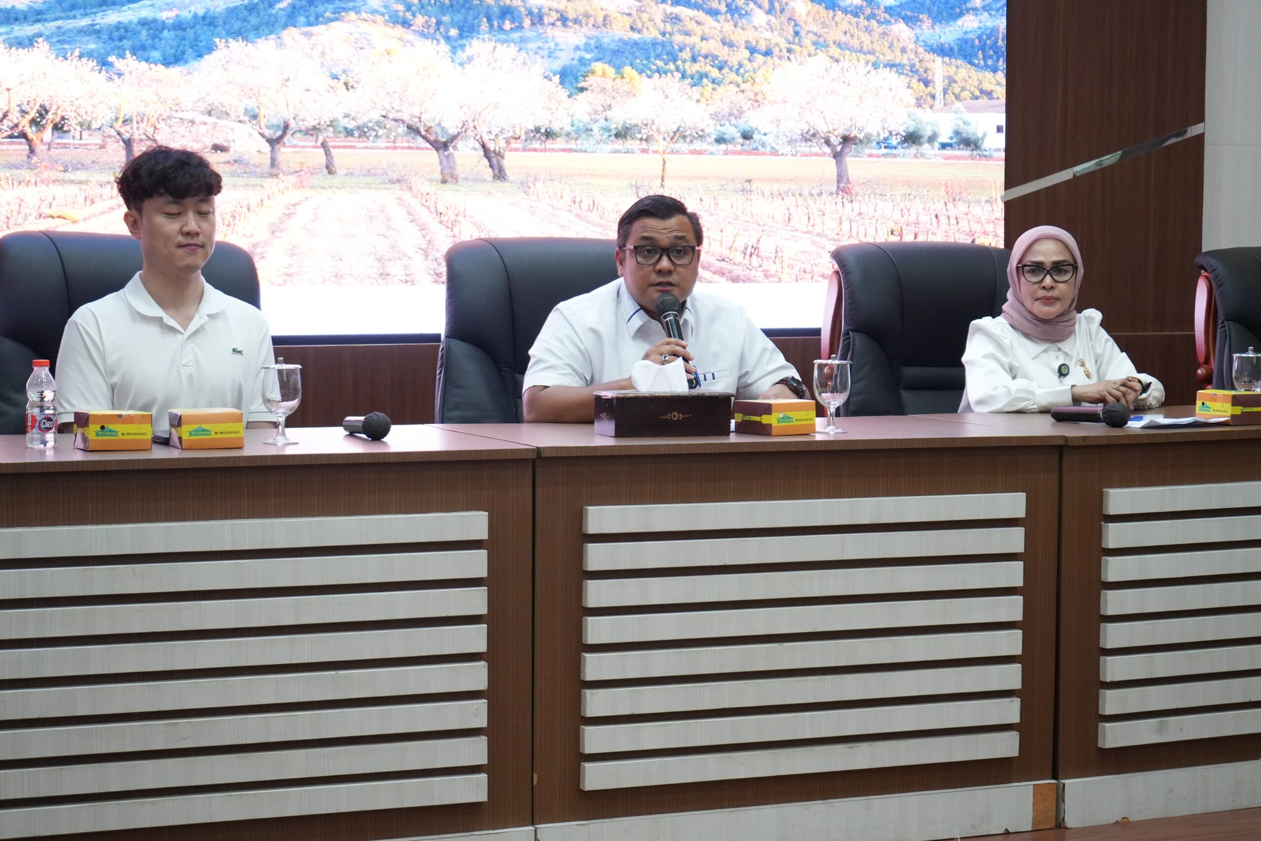 pemerintah kota medann